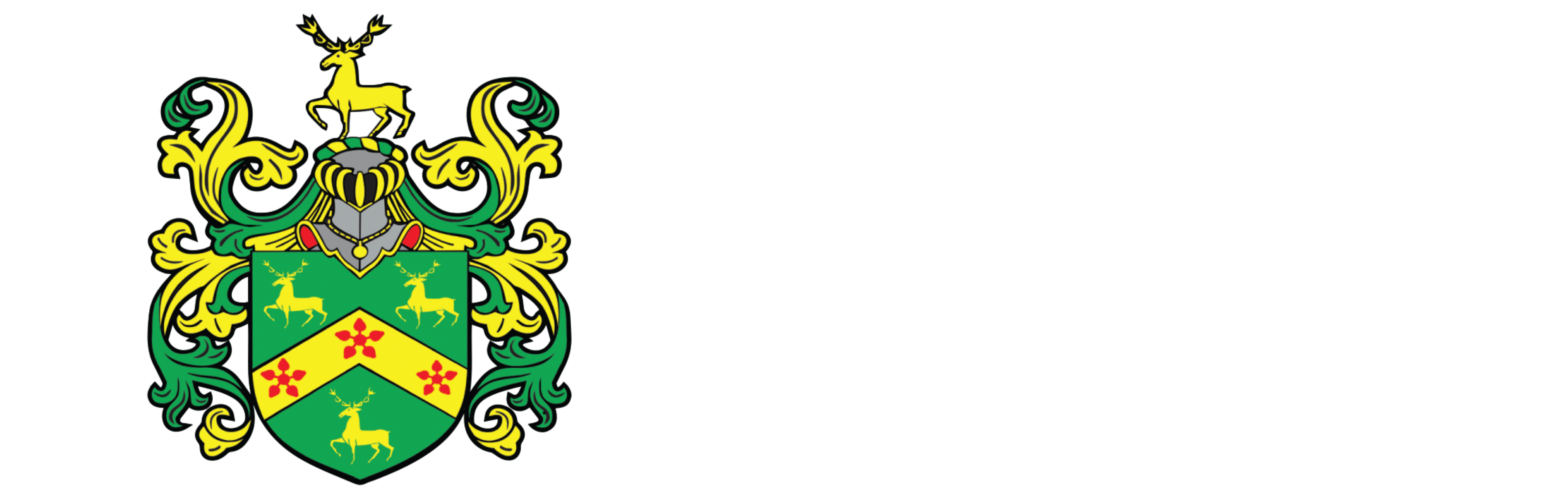 Company Name